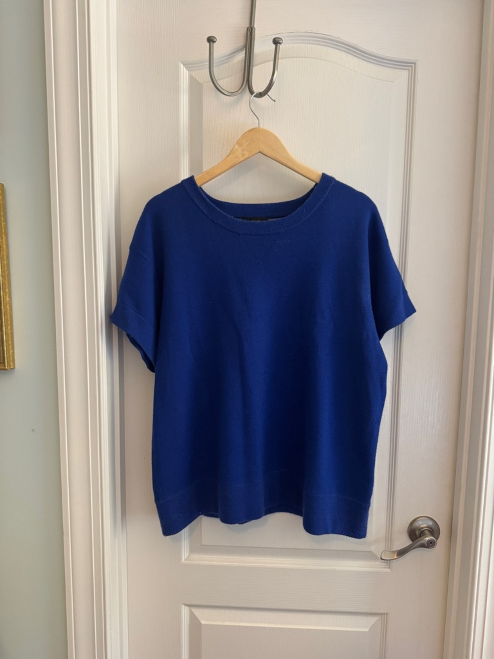 J. Crew Oversized Vintage Wool Crew Neck Short Sleeve Top